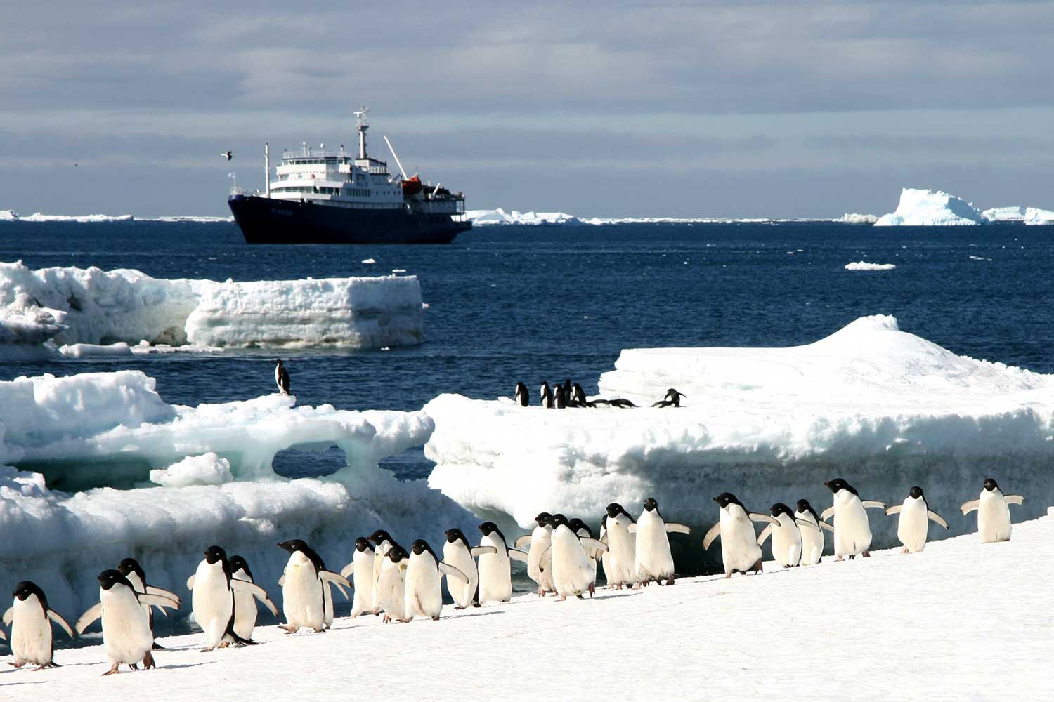 Oceanwide Expeditions